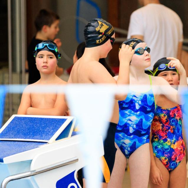 Vier Kinder in Badekleidung und Schwimmbrillen stehen am Beckenrand, bereit für den Wettkampf im Schwimmbad.