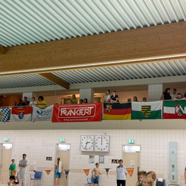 Blick auf Zuschauer mit Fahnen an einer Galerie über einem Schwimmbecken, mit Sportlern im Vordergrund.