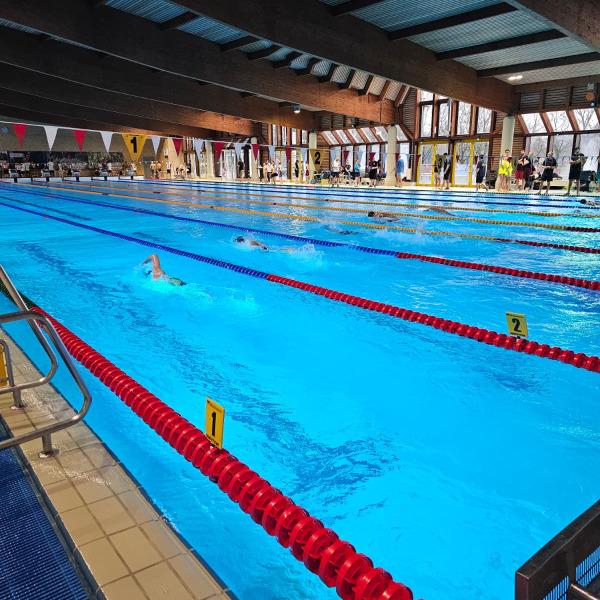 Schwimmbad mit mehreren Bahnen, Schwimmern und Sitzplätzen, hell erleuchtet, rote und blaue Markierungen.