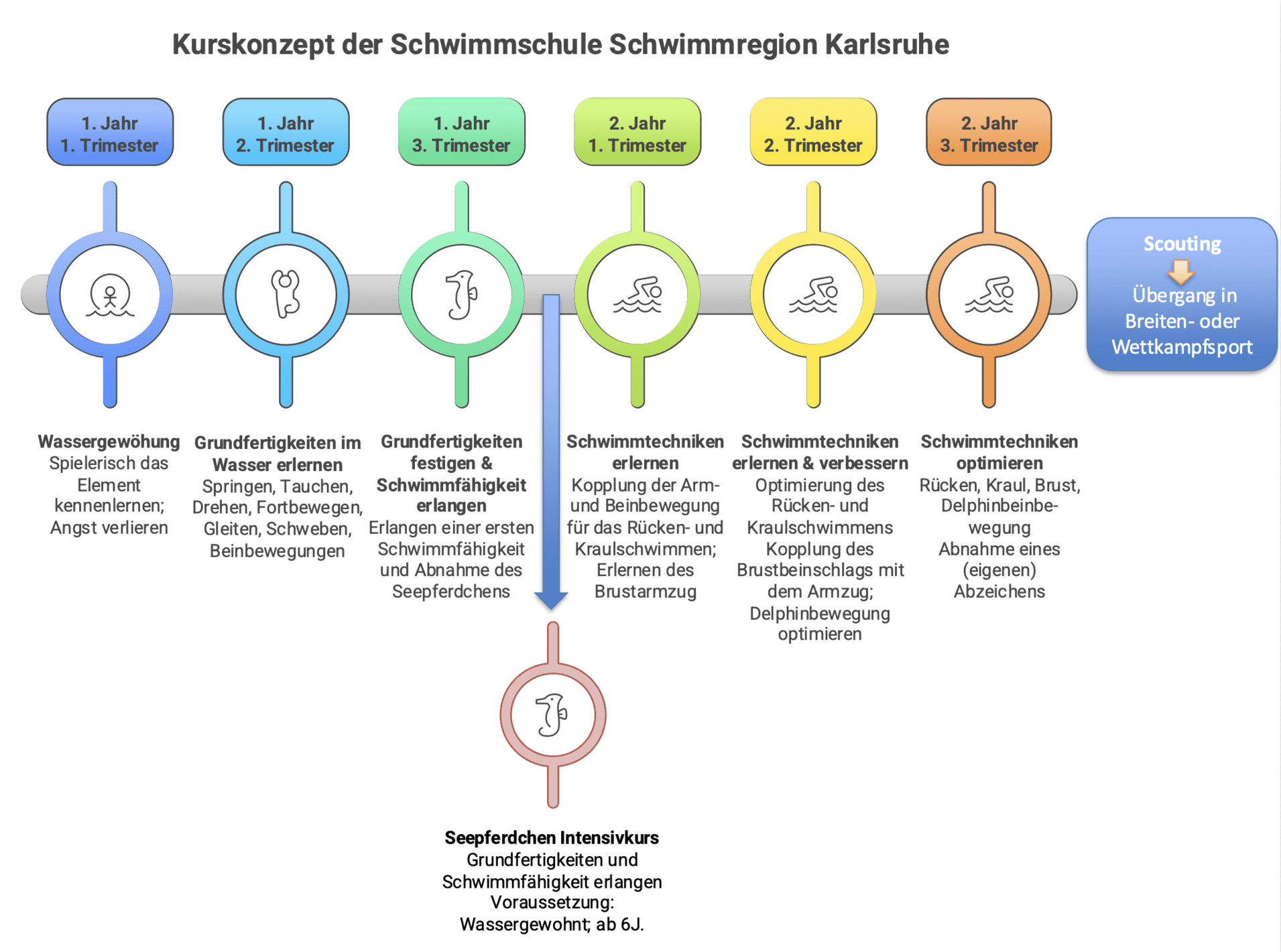 Grafik zum Kurskonzept der Schwimmschule Karlsruhe mit Kursinhalten für verschiedene Jahrgänge und Trimester.